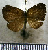  ( - JFDA2915)  @11 [ ] by-nc-sa (2025) Jean F. Le Crom Jean F. Le Crom