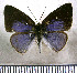  ( - JFDA2917)  @11 [ ] by-nc-sa (2025) Jean F. Le Crom Jean F. Le Crom