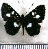  ( - JFDA2945)  @11 [ ] by-nc-sa (2025) Jean F. Le Crom Jean F. Le Crom