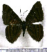  ( - JFDA2974)  @11 [ ] by-nc-sa (2025) Jean F. Le Crom Jean F. Le Crom