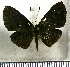  ( - JFDA2977)  @11 [ ] by-nc-sa (2025) Jean F. Le Crom Jean F. Le Crom