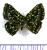  (Caria chrysame - JFDA2997)  @11 [ ] by-nc-sa (2025) Jean F. Le Crom Jean F. Le Crom
