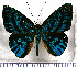  (Alesa prema - JFDA3002)  @11 [ ] by-nc-sa (2025) Jean F. Le Crom Jean F. Le Crom