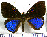  ( - JFDA3011)  @11 [ ] by-nc-sa (2025) Jean F. Le Crom Jean F. Le Crom