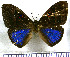  ( - JFDA3012)  @11 [ ] by-nc-sa (2025) Jean F. Le Crom Jean F. Le Crom