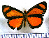  (Cabirus - JFDA3072)  @11 [ ] by-nc-sa (2025) Jean F. Le Crom Jean F. Le Crom