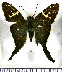  ( - JFDA3092)  @11 [ ] by-nc-sa (2025) Jean F. Le Crom Jean F. Le Crom
