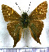  (Aguna ganna - JFDA3104)  @11 [ ] by-nc-sa (2025) Jean F. Le Crom Jean F. Le Crom
