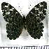  ( - JFDA3120)  @11 [ ] by-nc-sa (2025) Jean F. Le Crom Jean F. Le Crom