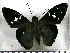  ( - JFDA3202)  @11 [ ] by-nc-sa (2025) Jean F. Le Crom Jean F. Le Crom