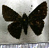 (Viola dagamba - JFDA3452)  @11 [ ] by-nc-sa (2025) Jean F. Le Crom Jean F. Le Crom