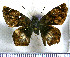  ( - JFDA3476)  @11 [ ] by-nc-sa (2025) Jean F. Le Crom Jean F. Le Crom