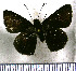  ( - JFDA3506)  @11 [ ] by-nc-sa (2025) Jean F. Le Crom Jean F. Le Crom