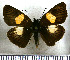  ( - JFDA3568)  @11 [ ] by-nc-sa (2025) Jean F. Le Crom Jean F. Le Crom