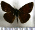  (Tolius - JFDA3601)  @11 [ ] by-nc-sa (2025) Jean F. Le Crom Jean F. Le Crom