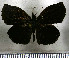  ( - JFDA3642)  @11 [ ] by-nc-sa (2025) Jean F. Le Crom Jean F. Le Crom