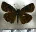 ( - JFDA3656)  @11 [ ] by-nc-sa (2025) Jean F. Le Crom Jean F. Le Crom