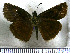  ( - JFDA3658)  @11 [ ] by-nc-sa (2025) Jean F. Le Crom Jean F. Le Crom