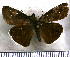  (Gesta tristis - JFDA3659)  @11 [ ] by-nc-sa (2025) Jean F. Le Crom Jean F. Le Crom