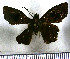  (Xispia - JFDA3683)  @11 [ ] by-nc-sa (2025) Jean F. Le Crom Jean F. Le Crom