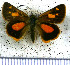  (Ladda connexa - JFDA3807)  @11 [ ] by-nc-sa (2025) Jean F. Le Crom Jean F. Le Crom