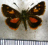  (Ladda disconnexa - JFDA3809)  @11 [ ] by-nc-sa (2025) Jean F. Le Crom Jean F. Le Crom