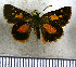  (Ladda mora - JFDA3812)  @11 [ ] by-nc-sa (2025) Jean F. Le Crom Jean F. Le Crom