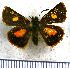  (Ladda - JFDA3813)  @11 [ ] by-nc-sa (2025) Jean F. Le Crom Jean F. Le Crom