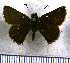  (Ladda quadristriga - JFDA3823)  @11 [ ] by-nc-sa (2025) Jean F. Le Crom Jean F. Le Crom