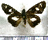  (Calvetta - JFDA3891)  @11 [ ] by-nc-sa (2025) Jean F. Le Crom Jean F. Le Crom