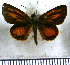  (Lento hermione - JFDA3991)  @11 [ ] by-nc-sa (2025) Jean F. Le Crom Jean F. Le Crom