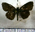 ( - JFDA4004)  @11 [ ] by-nc-sa (2025) Jean F. Le Crom Jean F. Le Crom