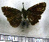  ( - JFDA4031)  @11 [ ] by-nc-sa (2025) Jean F. Le Crom Jean F. Le Crom