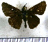  ( - JFDA4054)  @11 [ ] by-nc-sa (2025) Jean F. Le Crom Jean F. Le Crom