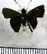  ( - JFDA4089)  @11 [ ] by-nc-sa (2025) Jean F. Le Crom Jean F. Le Crom