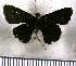  ( - JFDA4094)  @11 [ ] by-nc-sa (2025) Jean F. Le Crom Jean F. Le Crom