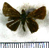  ( - JFDA4097)  @11 [ ] by-nc-sa (2025) Jean F. Le Crom Jean F. Le Crom