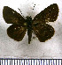  ( - JFDA4107)  @11 [ ] by-nc-sa (2025) Jean F. Le Crom Jean F. Le Crom
