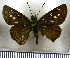  ( - JFDA4122)  @11 [ ] by-nc-sa (2025) Jean F. Le Crom Jean F. Le Crom