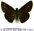  ( - JFDA4139)  @11 [ ] by-nc-sa (2025) Jean F. Le Crom Jean F. Le Crom