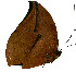  ( - JFDA4177)  @11 [ ] by-nc-sa (2025) Jean F. Le Crom Jean F. Le Crom