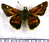  (Serdis - JFDA4224)  @11 [ ] by-nc-sa (2025) Jean F. Le Crom Jean F. Le Crom