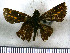  ( - JFDA4240)  @11 [ ] by-nc-sa (2025) Jean F. Le Crom Jean F. Le Crom