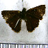  (Orthos orthos - JFDA4276)  @11 [ ] by-nc-sa (2025) Jean F. Le Crom Jean F. Le Crom