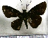  ( - JFDA4310)  @11 [ ] by-nc-sa (2025) Jean F. Le Crom Jean F. Le Crom