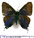  ( - JFDA4502)  @11 [ ] by-nc-sa (2025) Jean F. Le Crom Jean F. Le Crom