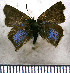  ( - JFDA4522)  @11 [ ] by-nc-sa (2025) Jean F. Le Crom Jean F. Le Crom