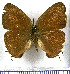  ( - JFDA4565)  @11 [ ] by-nc-sa (2025) Jean F. Le Crom Jean F. Le Crom