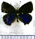  ( - JFDA4659)  @11 [ ] by-nc-sa (2025) Jean F. Le Crom Jean F. Le Crom