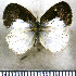  ( - JFDA4787)  @11 [ ] by-nc-sa (2025) Jean F. Le Crom Jean F. Le Crom
